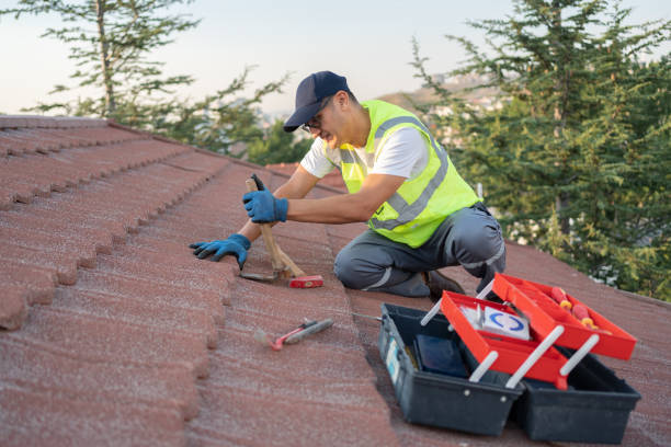 Best Roof Leak Repair  in Antioch, IL