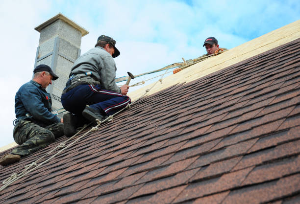 Best Metal Roofing Contractor  in Antioch, IL